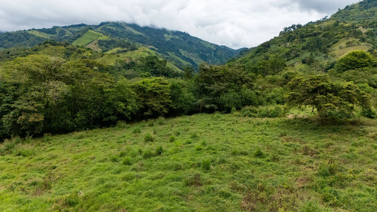 Mountain Home Construction Site For Sale in Río Nuevo - Gallery image 17