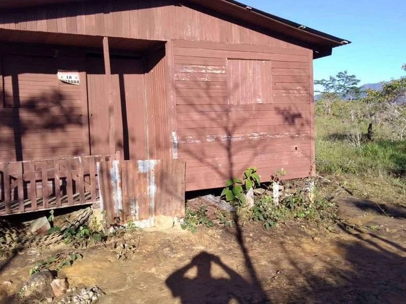 Amazing Self-sufficient 315 Acre Farm - Gallery image 3