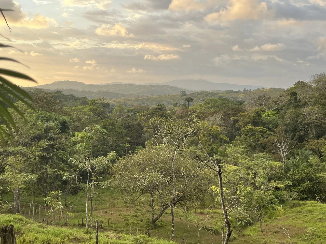 Finca Guapinol de Parrita: Near the Coast, Mountain and Countryside Agricultural Land For Sale in Parrita - Gallery image 2