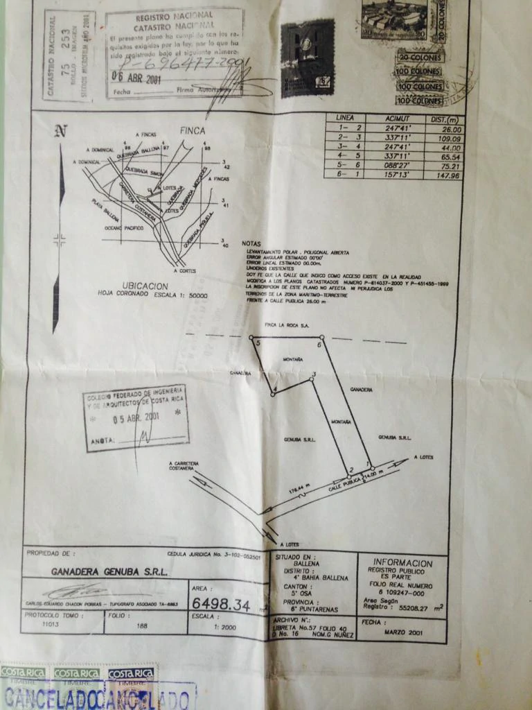 1.6 Acres Land Parcel in Ballena, Jungle Views.: Mountain Home Construction Site For Sale in Bahía Ballena - Gallery image 21
