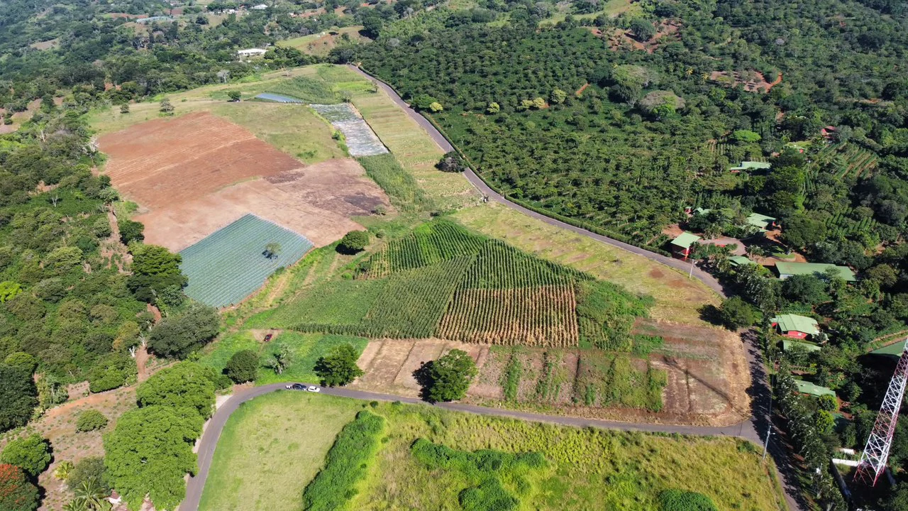 Attn: Developers!: 10 ha Prime Development Land Near Booming Free Zone Corridor
