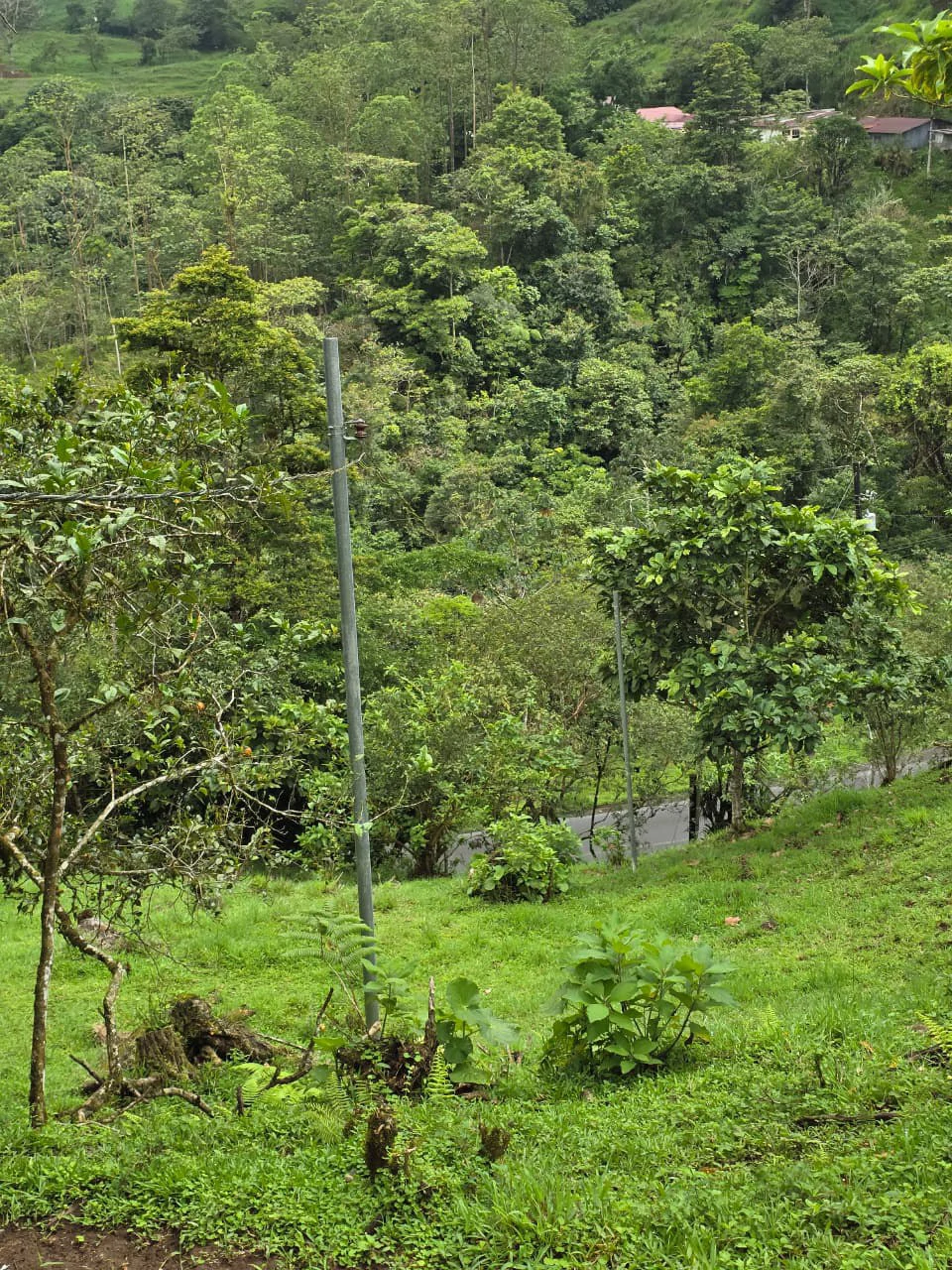 INVESTOR & DEVELOPER ALERT: High-Visibility Investment Property in the Heart of Tourist-Friendly Zarcero - Gallery image 5