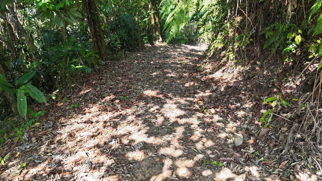The Crown Jewel Ocean View Lot Hatillo - Gallery image 11