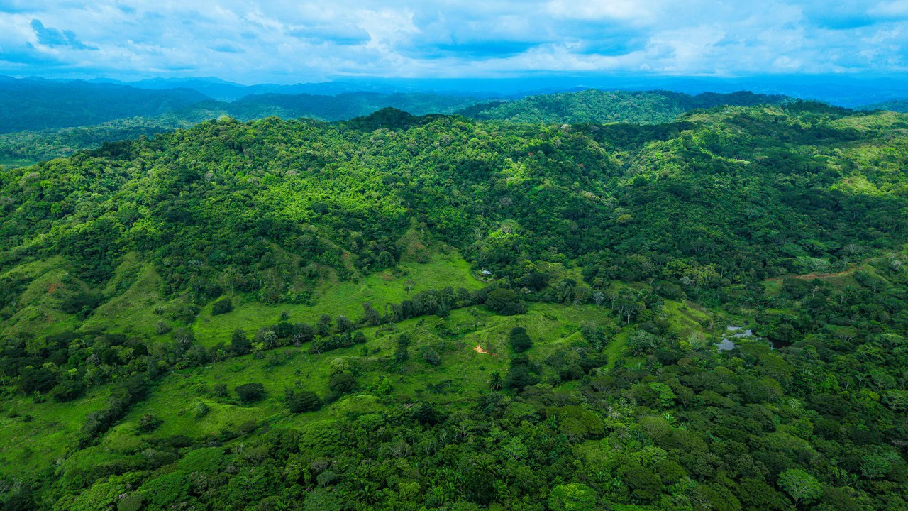 4,850 Acre Beachfront Legacy Ranch Esterillos Central Pacific Coast - Gallery image 27