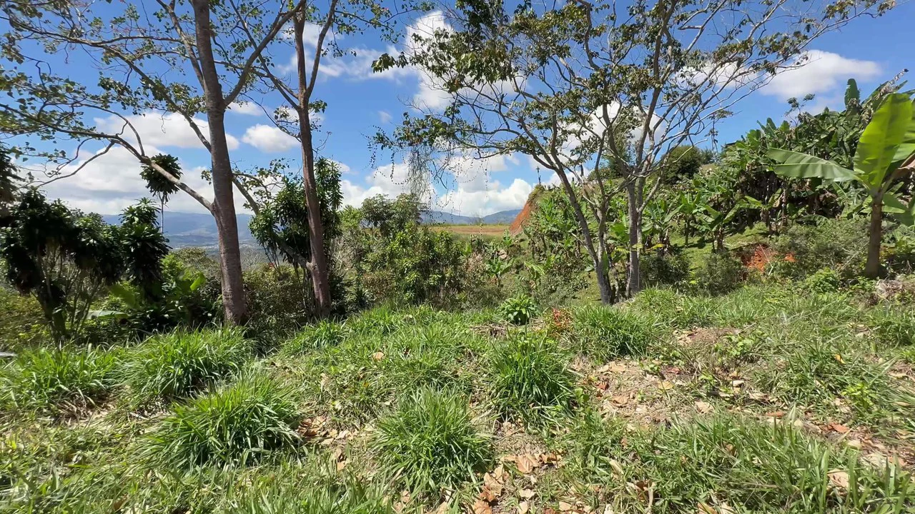 Property For Sale in Miravalles - Gallery image 4