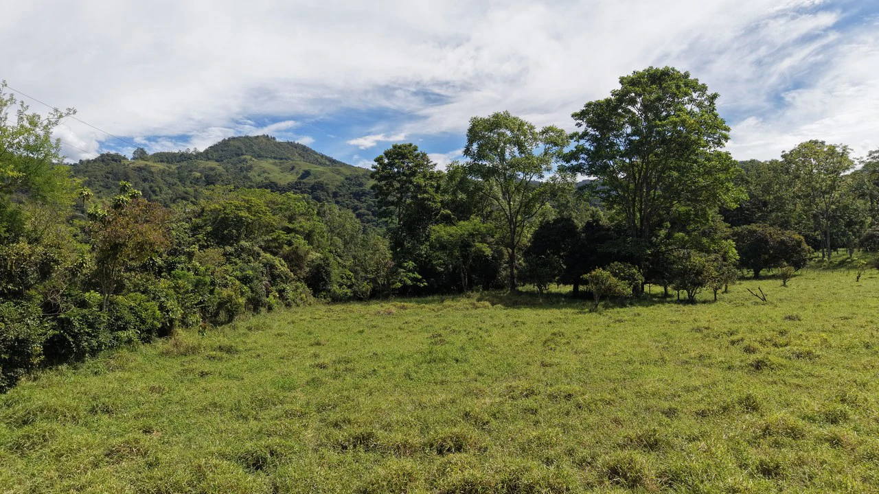 Mountain Home Construction Site For Sale in San Isidro del General