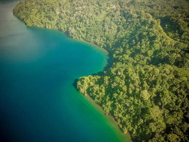 Bahía Chal Gulf View Close to Puerto Jimenez - Gallery image 7