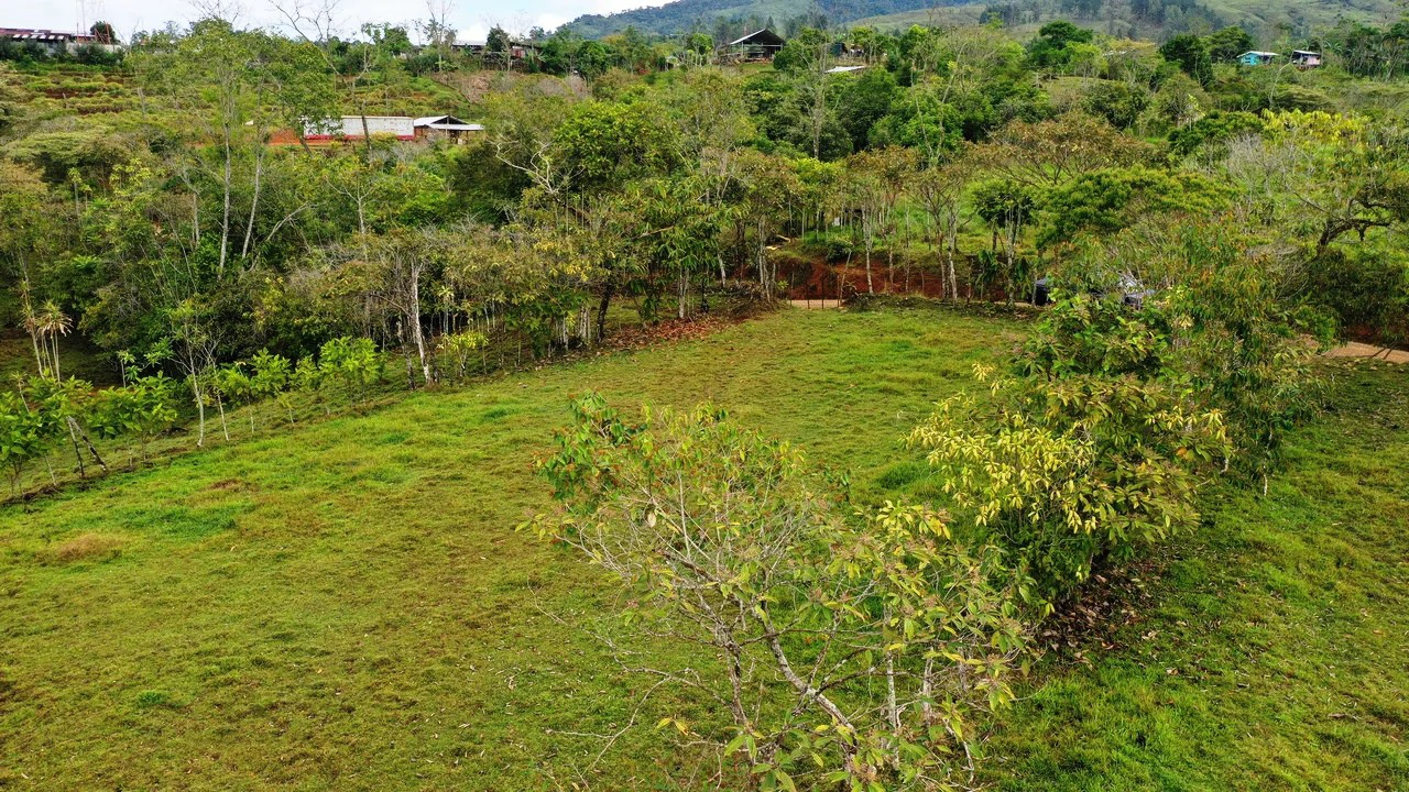 45 Acre Premier Riverfront Ranch in Santa Teresa Pérez Zeledón - Gallery image 12