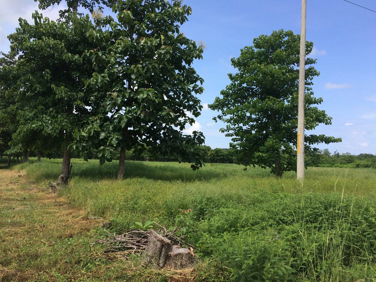 Liberia Airport Property for Quick Sale, Just 5 Minutes from Airport entrance, on the main road, Route #21 - Gallery image 6
