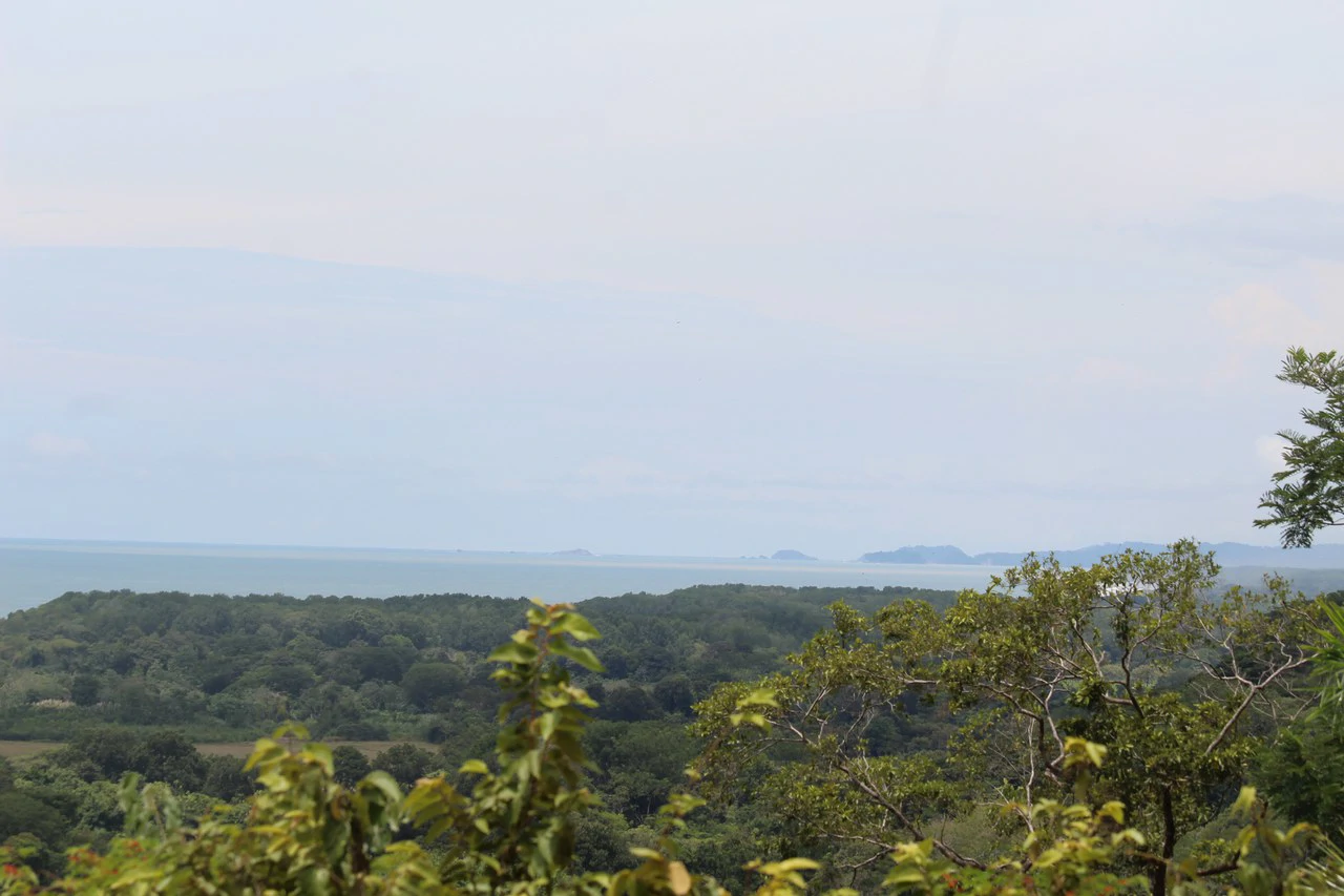 Whitewater Sunset Ocean View Lot Close to Dominical Beach - Gallery image 27