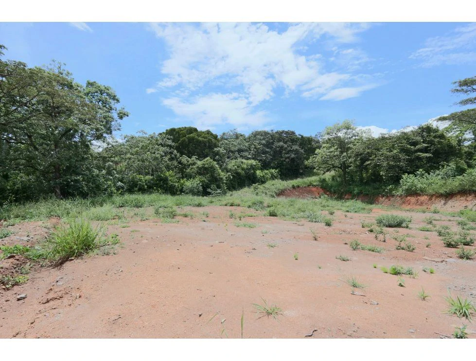 Sale of flat lot in Turrucares - photo 9