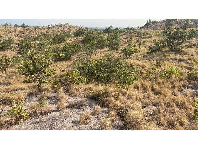 Zoning for homes, apartments, and warehouses in the mountains of Liberia, Beautiful 9.7 ha land with building permits - Gallery image 4