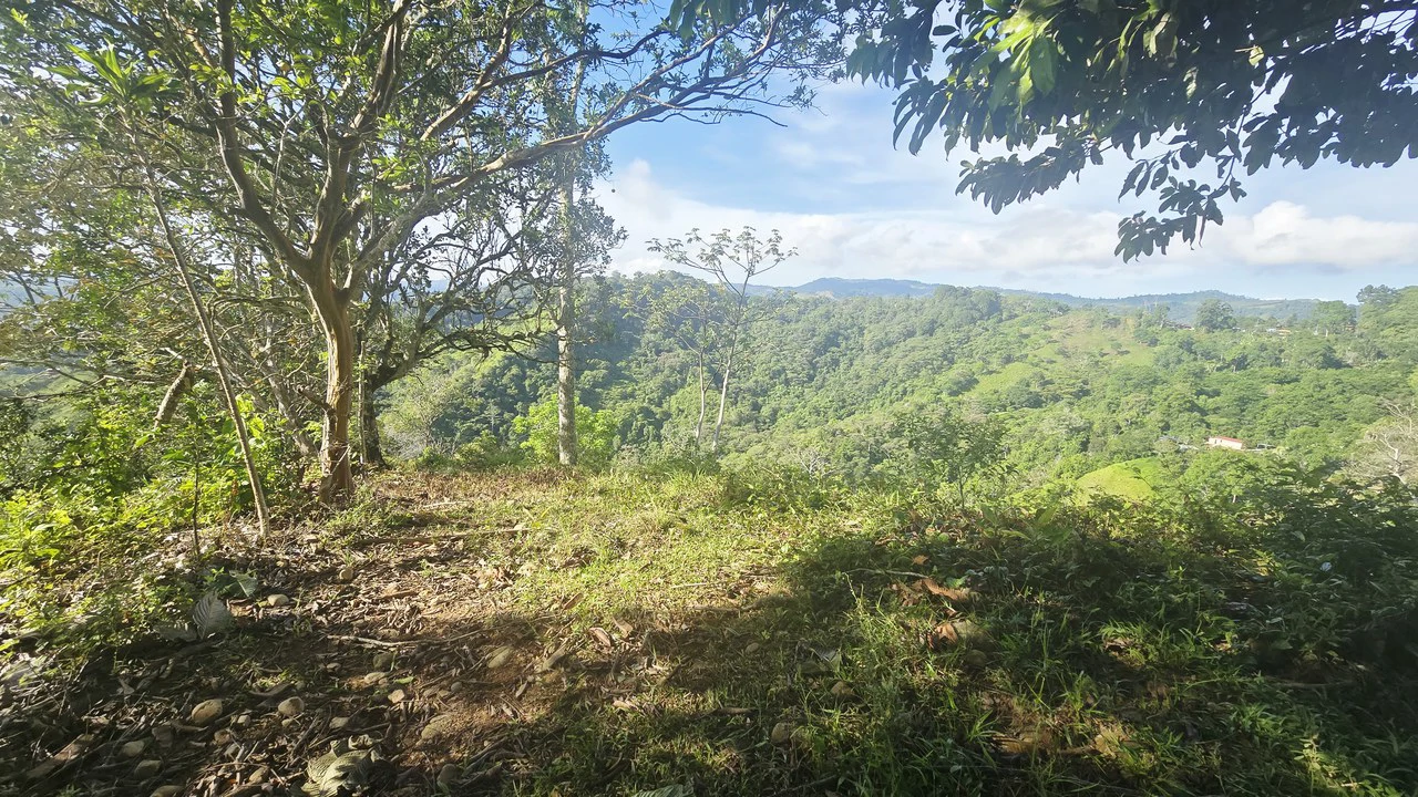 Mountain Agricultural Land For Sale in San Isidro del General - Gallery image 10
