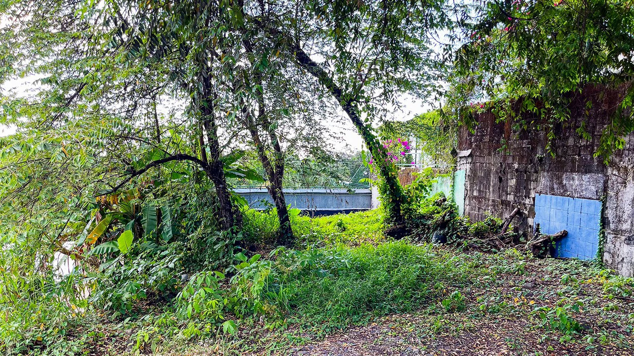 Build Ready Lot in the Heart of Manuel Antonio - Gallery image 13