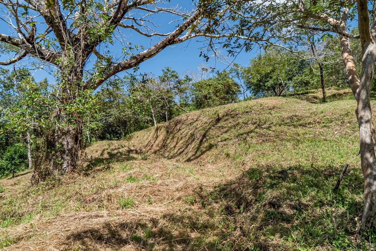 Silent Ridge: 2 Hectares With Ocean View - Gallery image 5