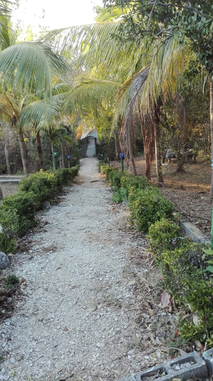 Pequeño Hotel con paisaje de colinas: Hotel Nicoya in San Antonio 5 Bungalows - Gallery image 10