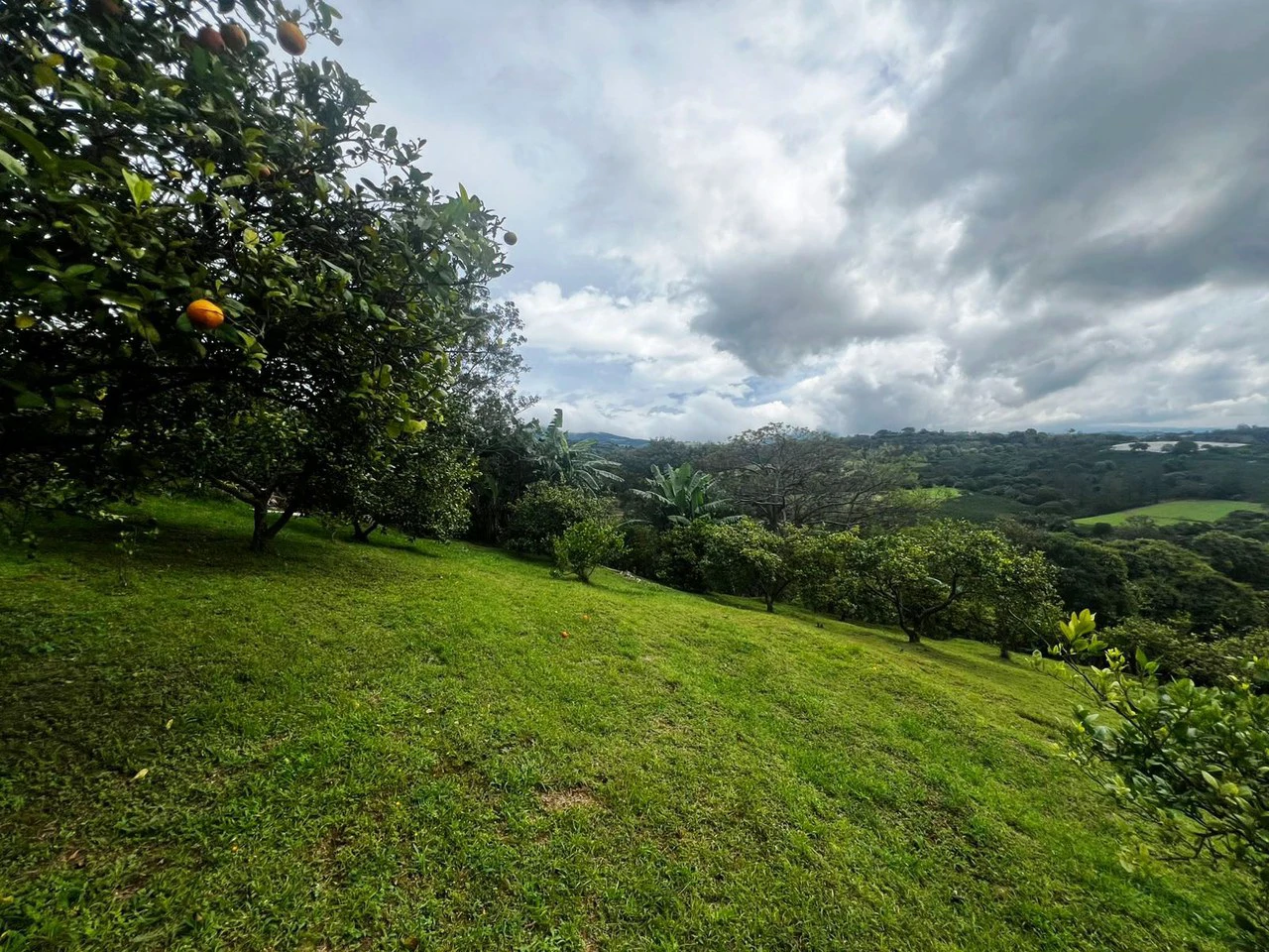 Hillside Wonder...: Premium City View Homesite Ready to build! - Gallery image 5