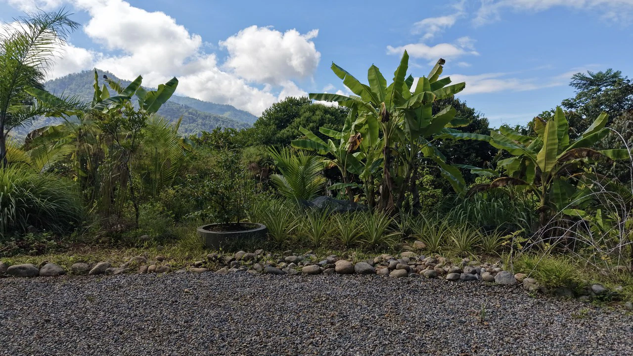 Mountain and Countryside House For Sale in Santa Elena - Gallery image 6