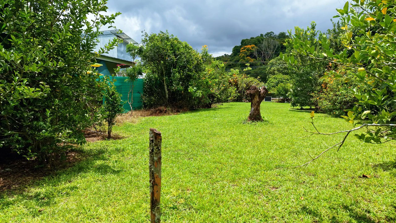 LOTE PLANO CON FRUTALES: Mountain Home Construction Site For Sale in General Viejo - Gallery image 7