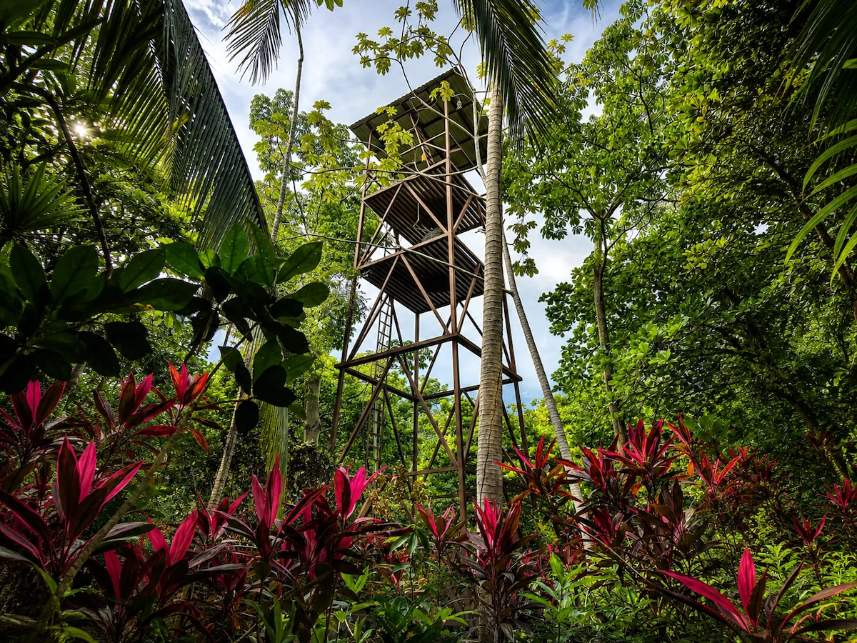 Tropical Beach Home – Sombrero, Osa Peninsula Costa Rica - Gallery image 34