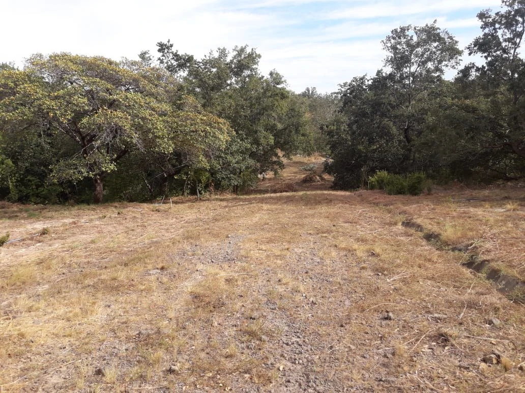 Colorado River Paradise Farm for Sale - Just 10 Minutes from Liberia - Gallery image 7