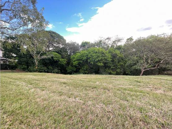 Lote único en Los Reyes