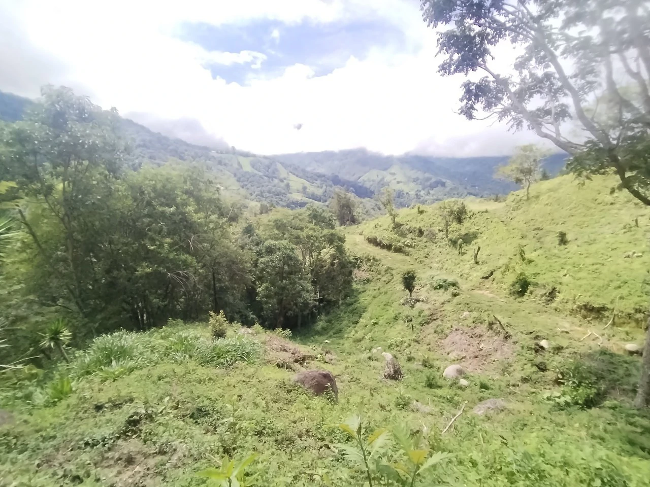 LOTE EN HERRADURA RIVAS.: Mountain Agricultural Land For Sale in San Isidro del General - Gallery image 19
