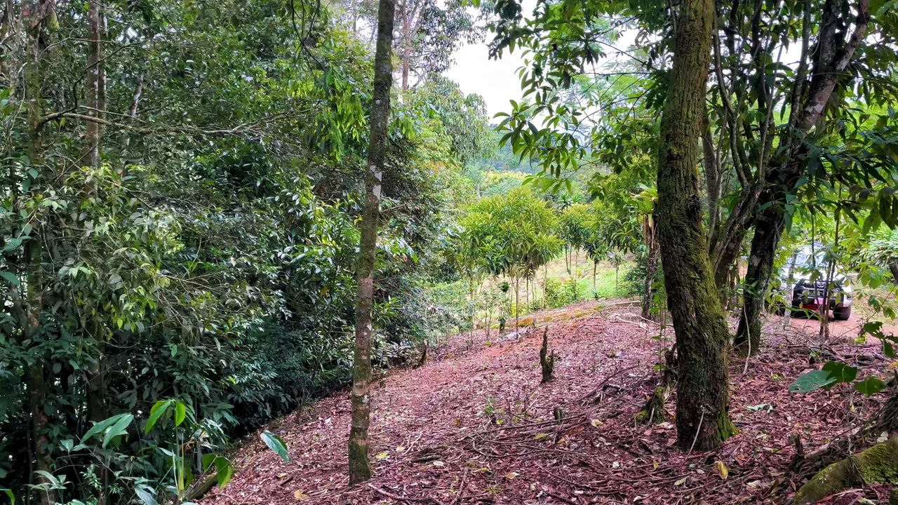 Lote en Chimirol, Costa Rica: Mountain Home Construction Site For Sale in San Isidro del General - Gallery image 2