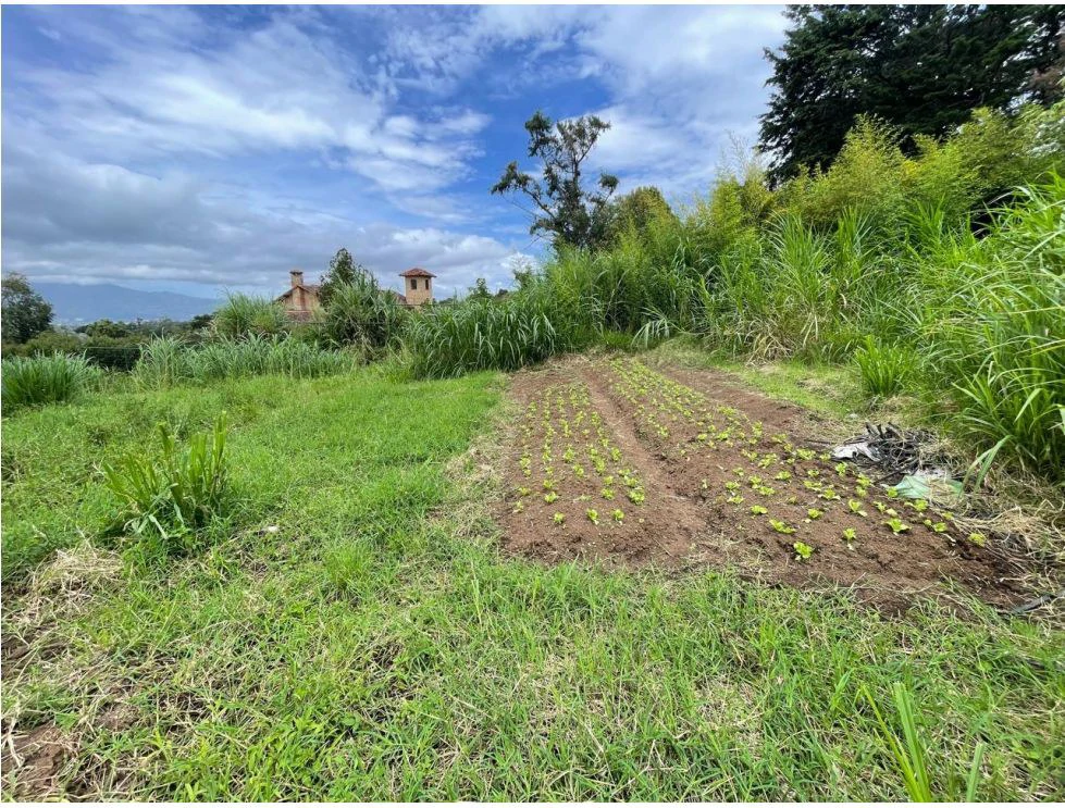 For Sale: This beautiful 1.12-hectare estate in Santa Cecilia de San Isidro de Heredia, on Caricias Street. - Gallery image 10