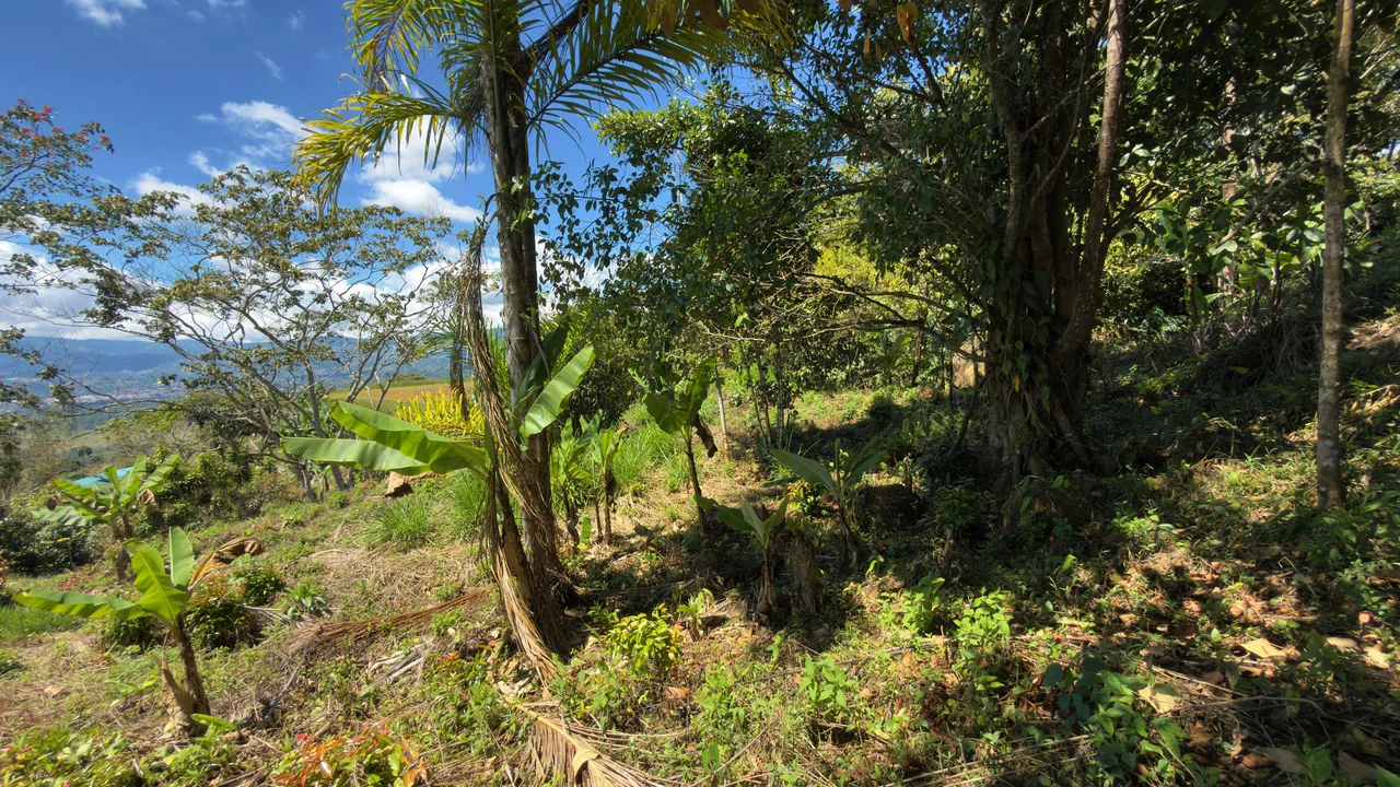 SE VENDE LOTE DE 1066M2, UBICADO EN MIRAVALLES, PEREZ ZELEDON.: Home Construction Site For Sale in Miravalles - Gallery image 4