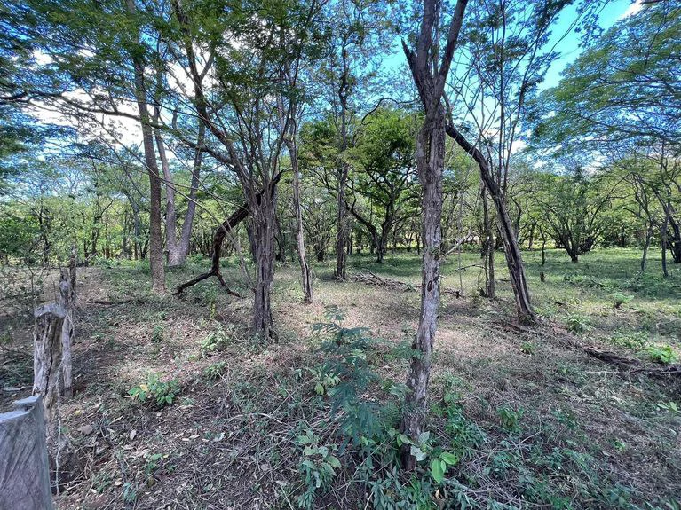 5.67 Hectares in Puerto Viejo: Prime Development Parcel Just 2 Mins from the Beach - Gallery image 3