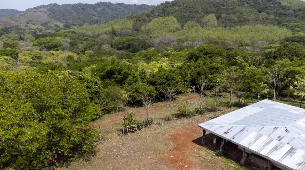 Farm for sale in Puntarenas Lepanto Costa Rica - Gallery image 9