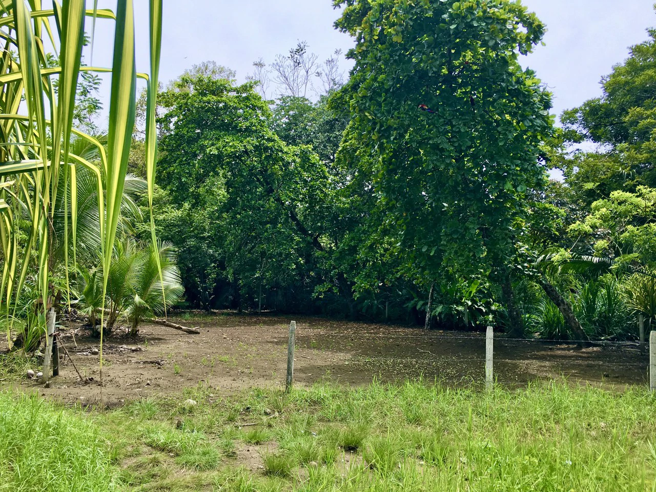Titled Lot Near A Hidden Beach Close To Town - Gallery image 2