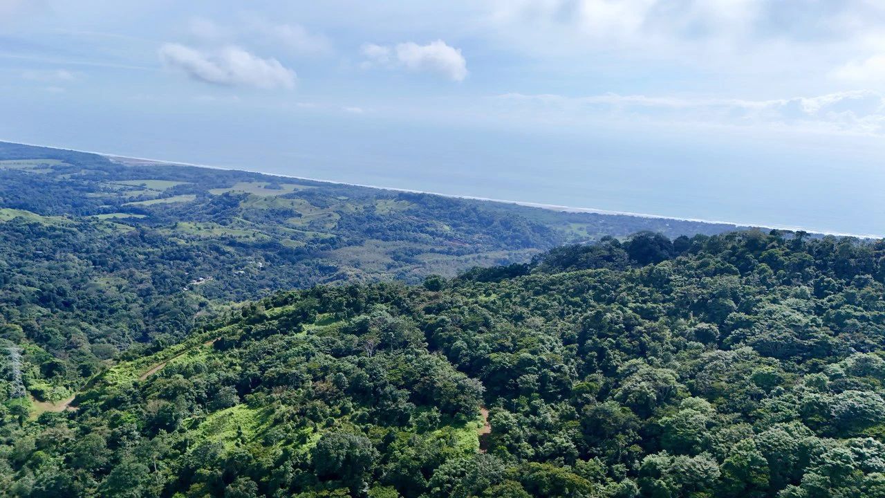 Off-Grid Ocean View Lot | 1.7 Acres in Las Nubes Matapalo Hills - Gallery image 3