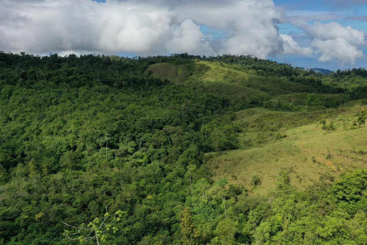 47 Acre Off Grid Ranch with Ocean & Mountain Views San Lorenzo Perez Zeledón - Gallery image 21