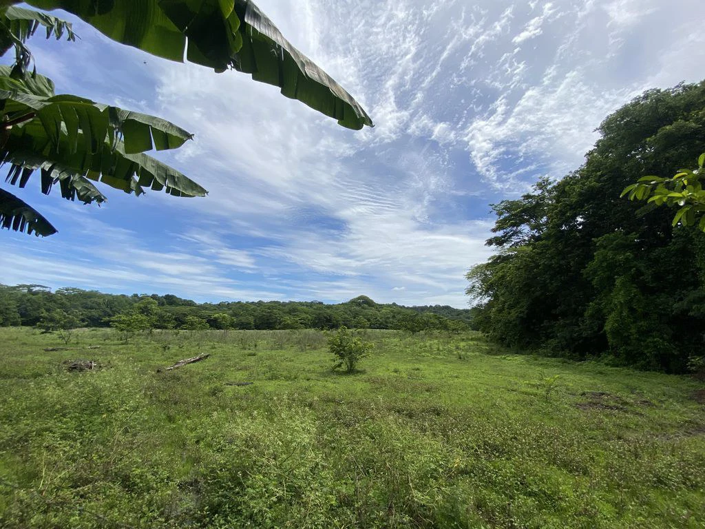 Casa Munoz: 3 Bedroom Home and 2 Unit Duplex with space for a pool, Located in El Canto de los Gavilanes - Gallery image 29