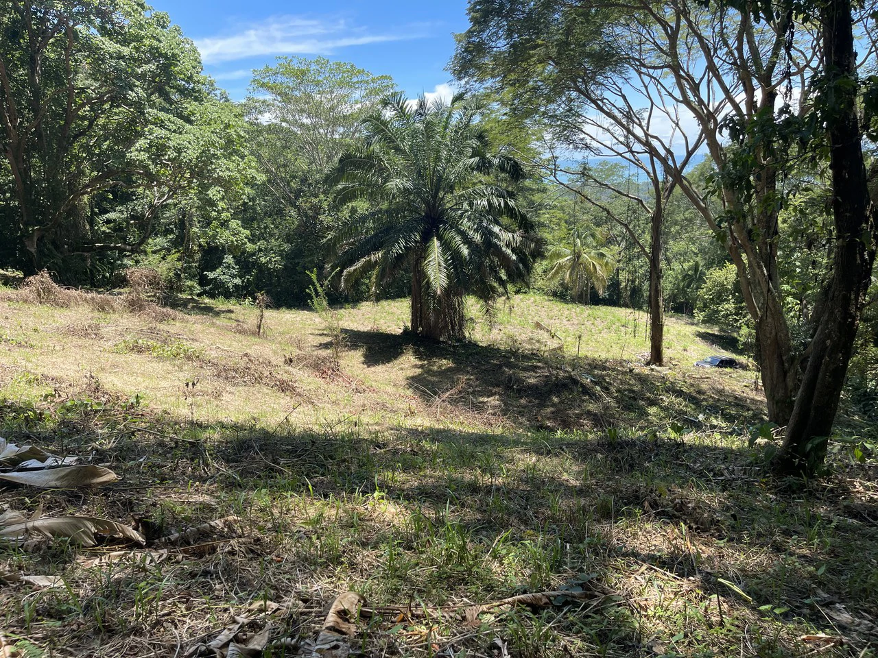5.4 ACRES – Amazing Ocean View Acreage With Multiple Building Sites And Legal Water!!! - Gallery image 3
