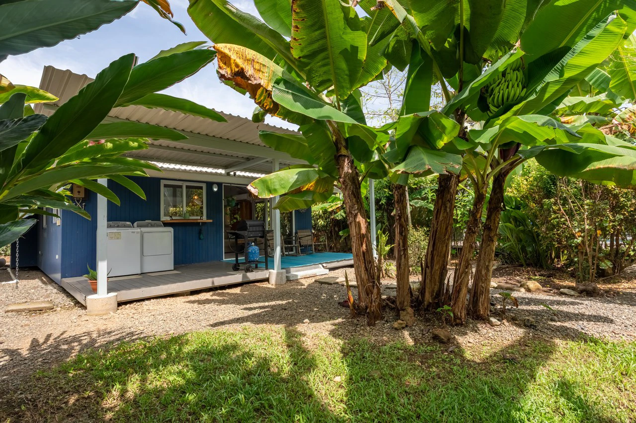 Uvita Beach Bungalow Walking Distance to the National Park - Gallery image 4