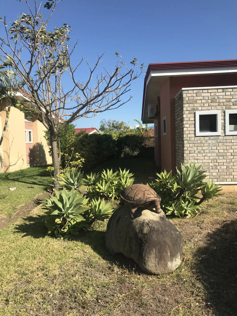 House For Sale in Piedades - Gallery image 8