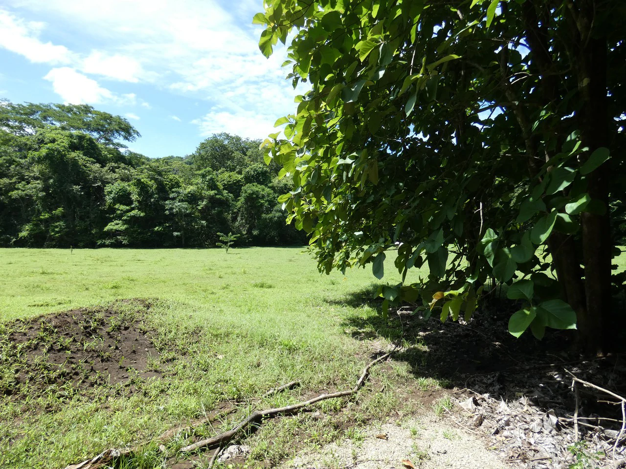 Samara beach property project with own natural reserve and ocean views - Gallery image 10