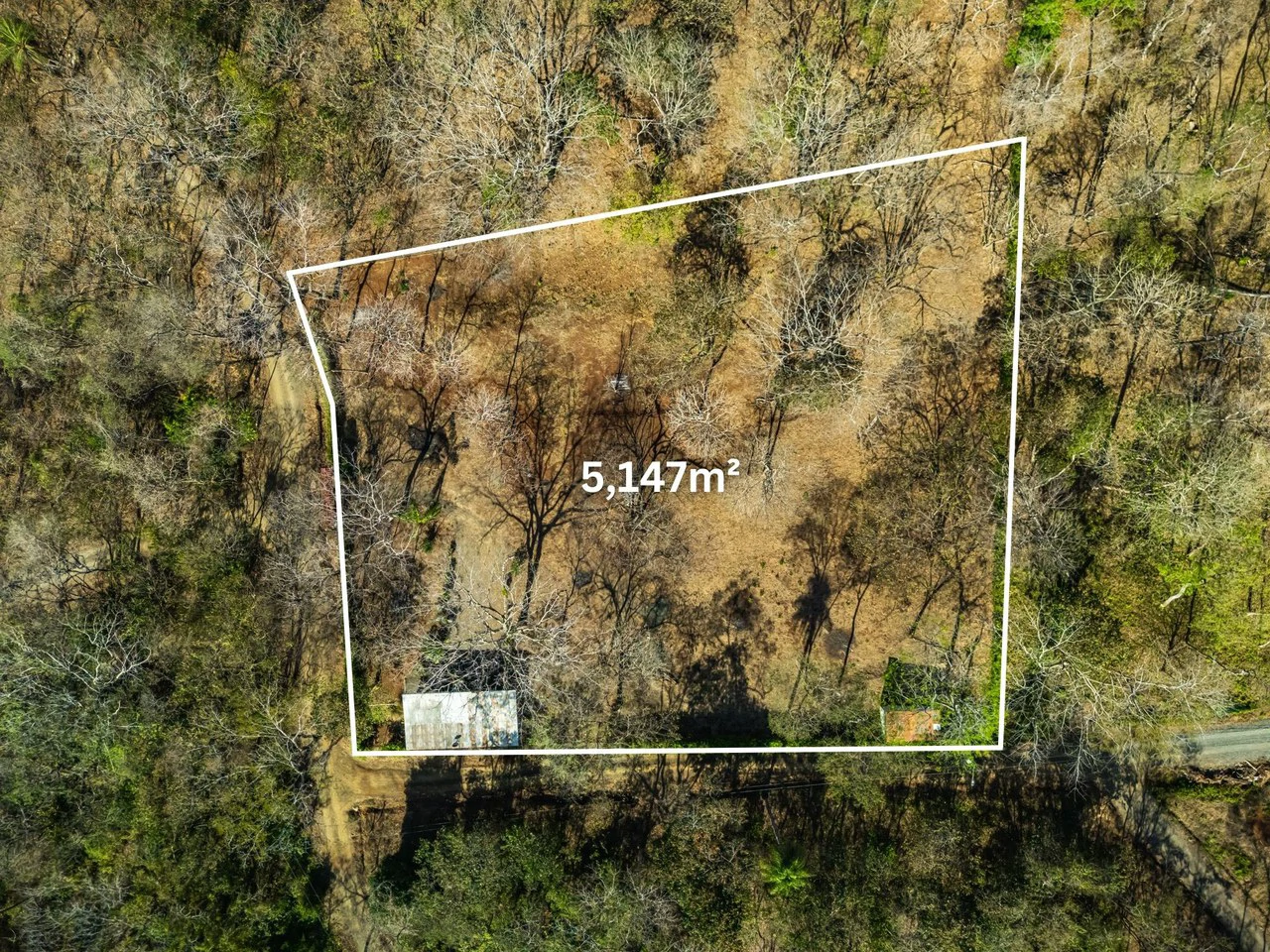 Casa Jungle: Jungle Lot with Container Home 10 min from the beach - Gallery image 5