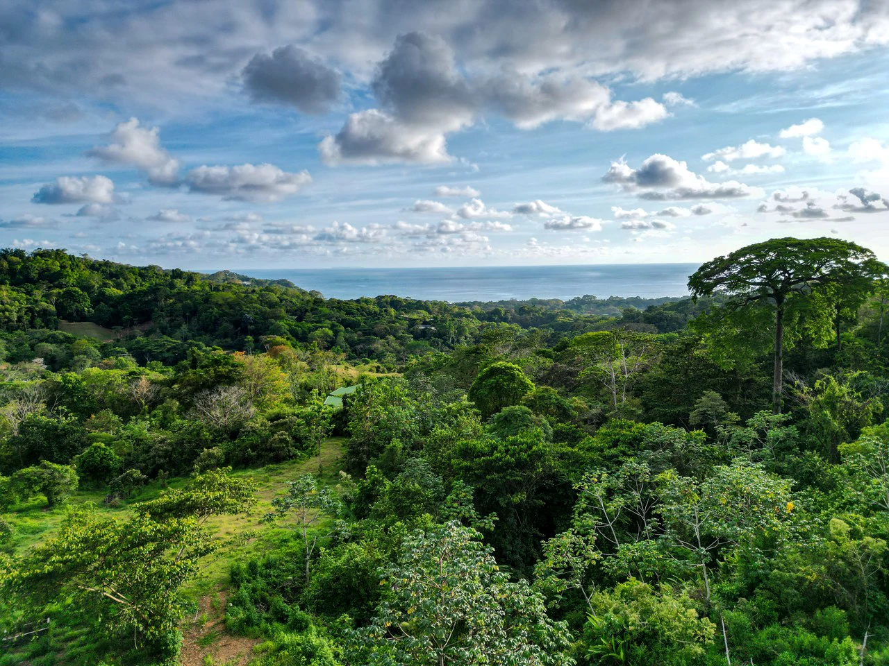 Build Your Vision in Uvita – 15.9 Ocean View Acres with Easy Access + Utilities Ready! - Gallery image 2
