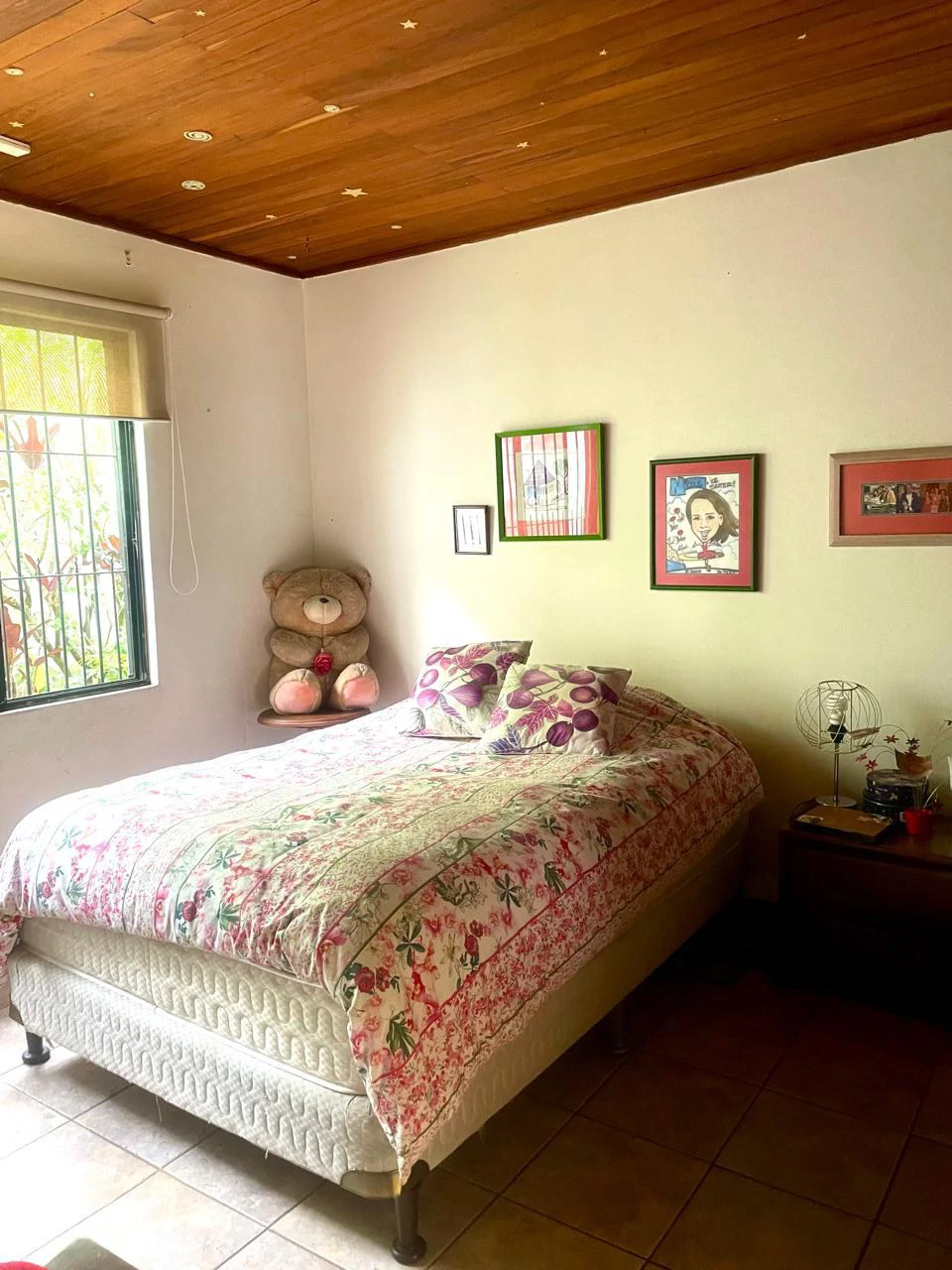 House to Remodel with 1,700 sq m of Land in Pozos, Santa Ana - Gallery image 20