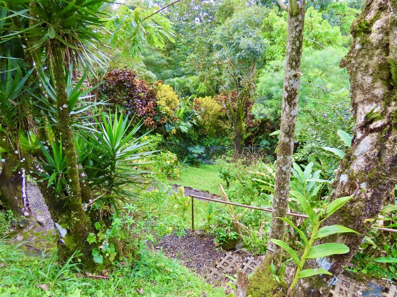 CASA  TROPICANA - Lake View Oasis Near Nuevo Arenal - Gallery image 77