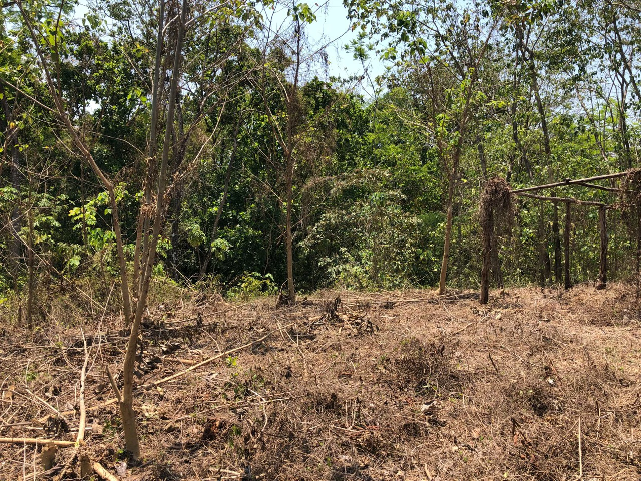 Prime Real Estate Opportunity, Lot with Creek Border in Santo Domingo hills - Gallery image 9