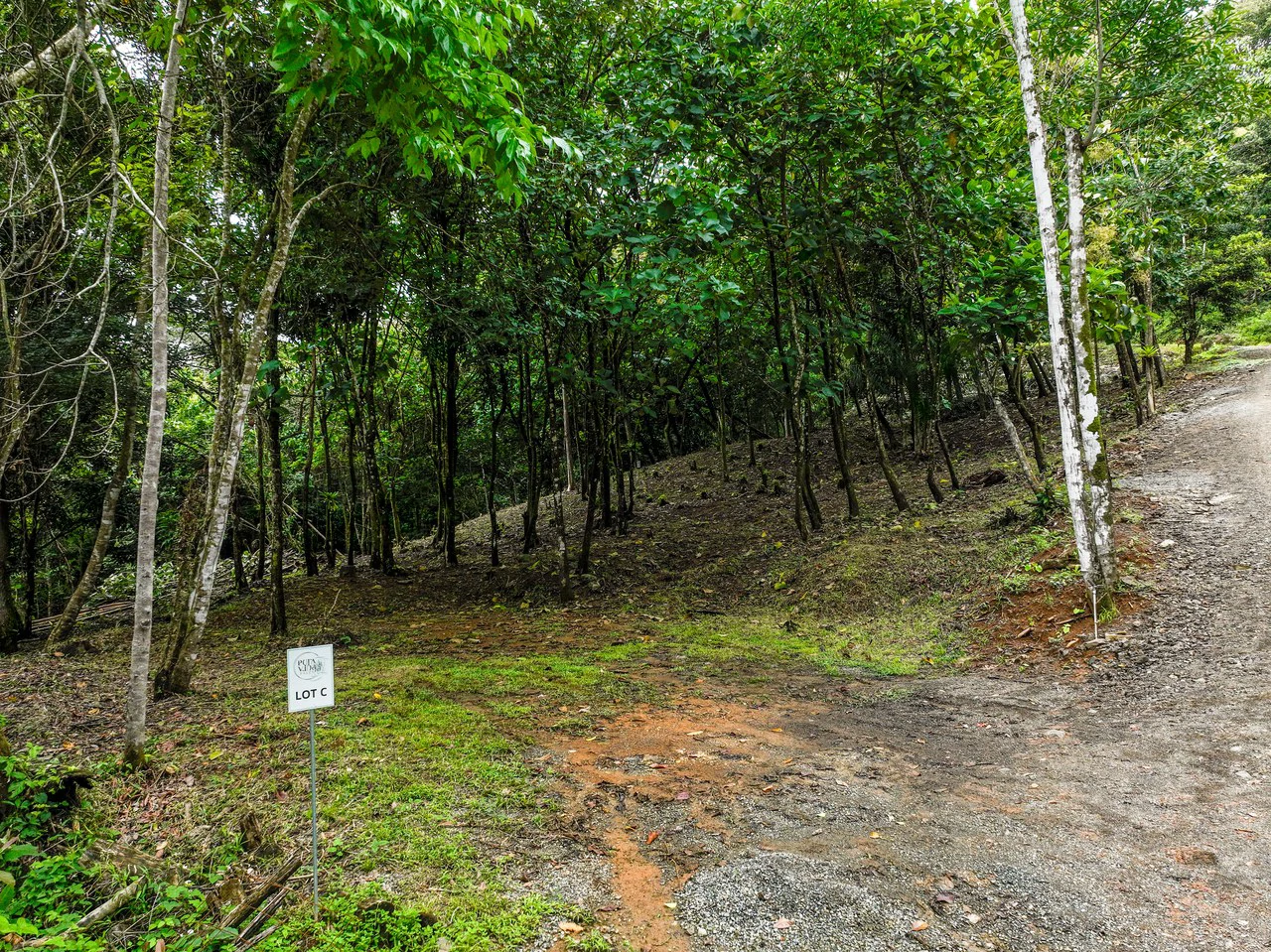 2.4 Acre Property In The Mountains Above Dominical with Waterfall Views - Gallery image 21