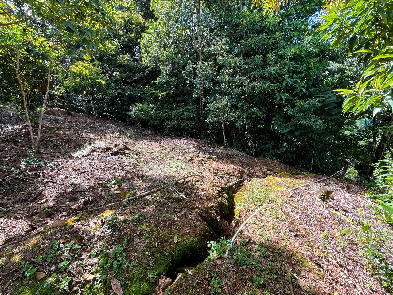 Lote en Chimirol, Costa Rica: Mountain Home Construction Site For Sale in San Isidro del General - Gallery image 8