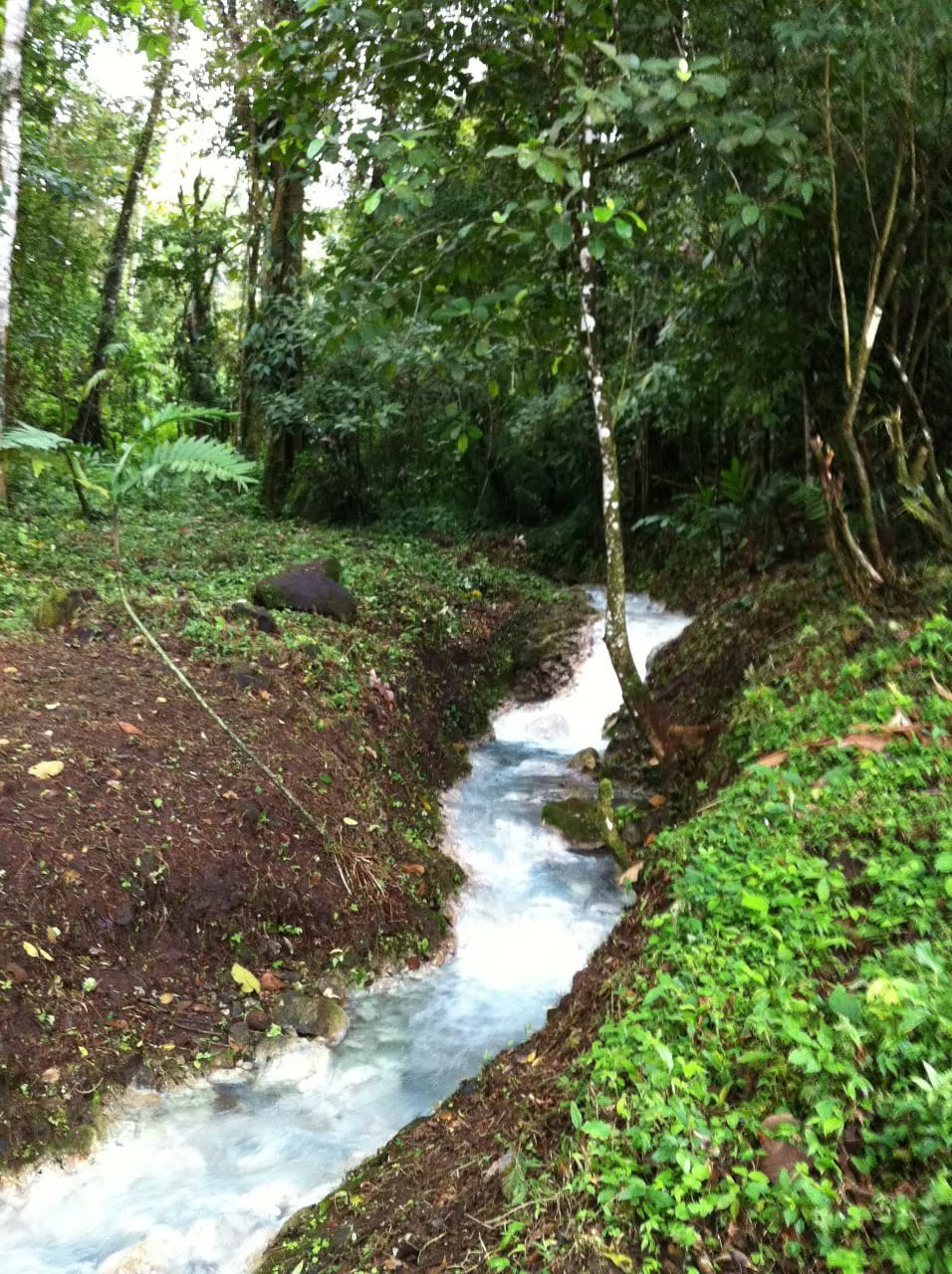 Cold & Hot springs surrounded by an overgrown farm, taken back by nature - Gallery image 68