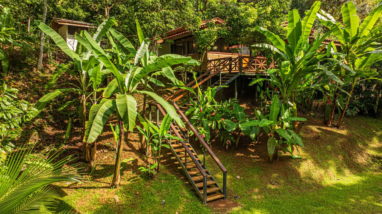 A Jungle House Built of Wood & River Dreams - Gallery image 8