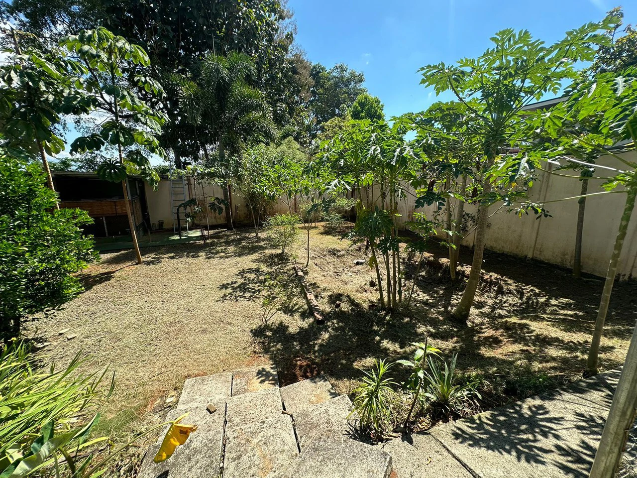 Charming 3-Bedroom Home with Valley Views Near Chirripo - Gallery image 30